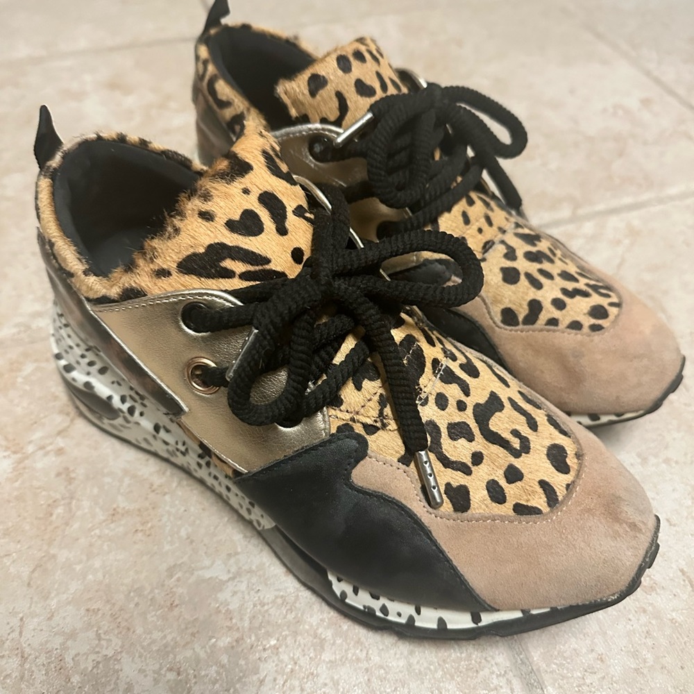 Steve Madden Cliff Sneakers